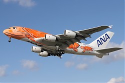 395_A380_JA383A_ANA.jpg
