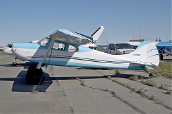 5361_Cessna_170_N5490C.jpg