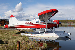 8040_Beaver_N5162G.jpg