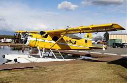 8071_Beaver_N454DB.jpg