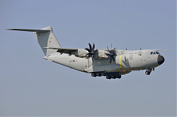 ZM417.jpg